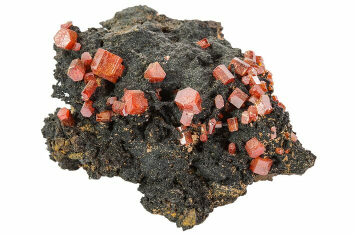 Red Vanadinite Crystals On Manganese Oxide - Morocco #103572